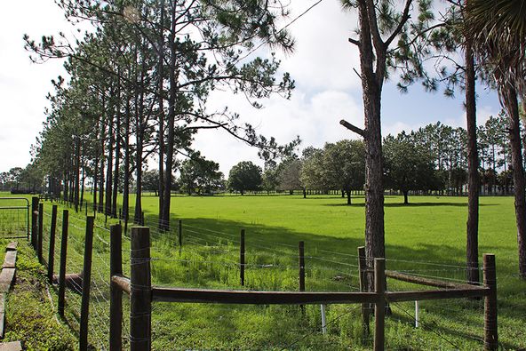 3375 Anderson Rd, Mulberry, FL 33860